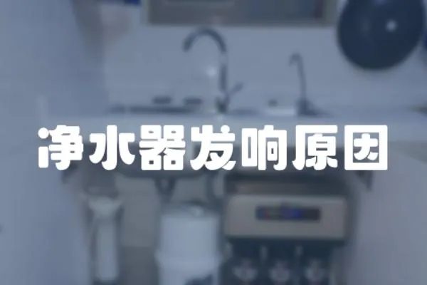 凈水器發響原因