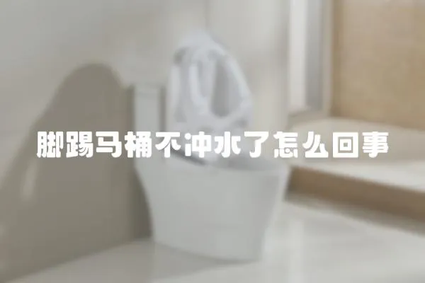 腳踢馬桶不沖水了怎么回事