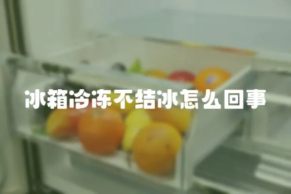 冰箱冷冻不结冰怎么回事