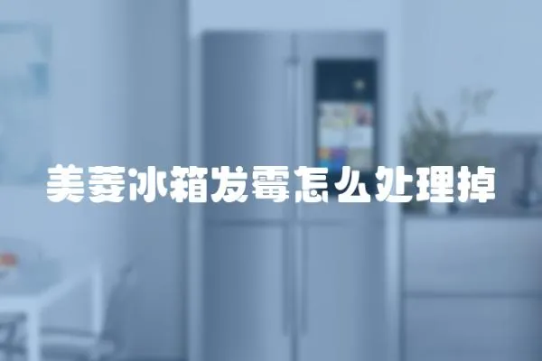 美菱冰箱發(fā)霉怎么處理掉