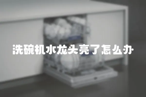 洗碗機水龍頭亮了怎么辦