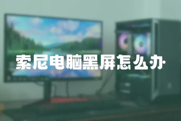 索尼電腦黑屏怎么辦
