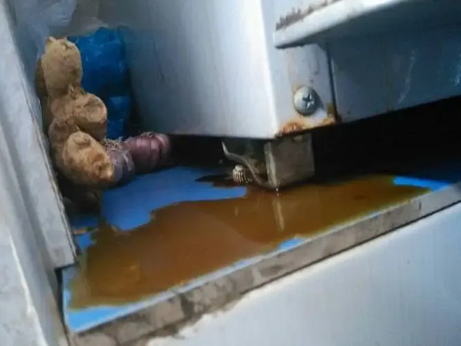 冰箱漏油對(duì)人有什么害