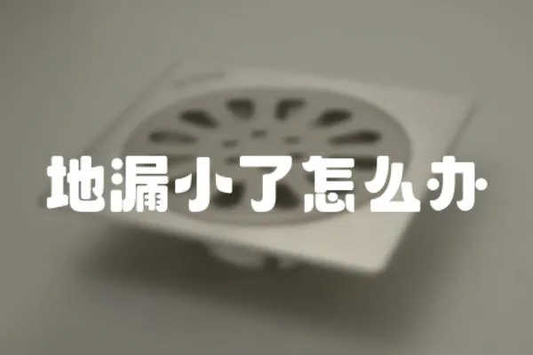 地漏小了怎么辦