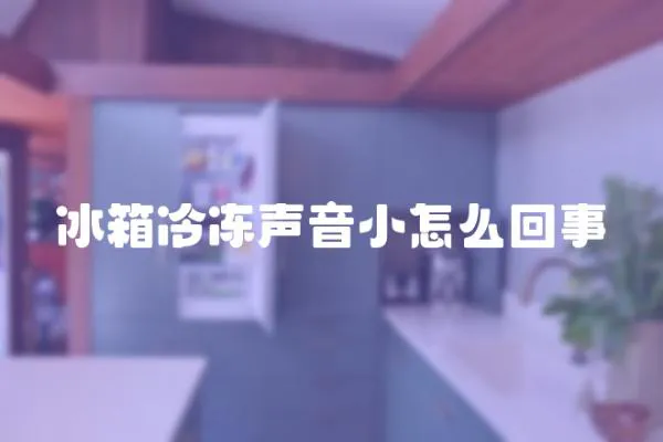 冰箱冷凍聲音小怎么回事