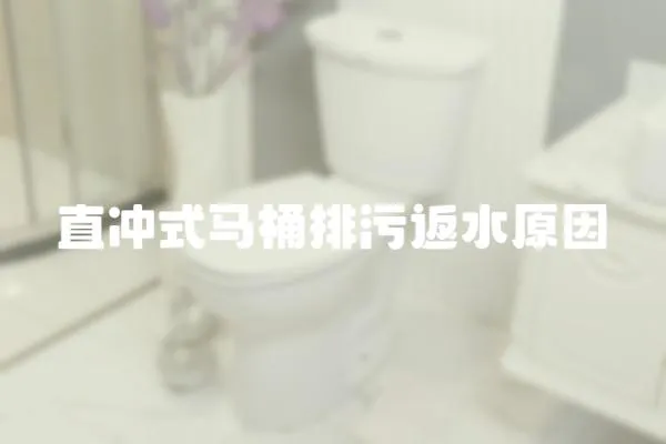 直冲式马桶排污返水原因