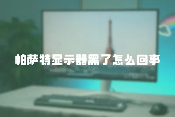 帕薩特顯示器黑了怎么回事