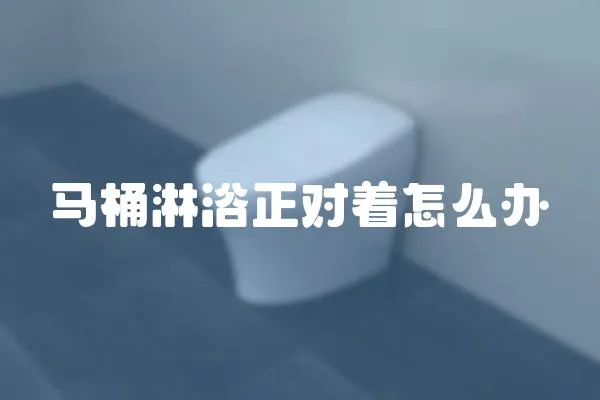 馬桶淋浴正對著怎么辦