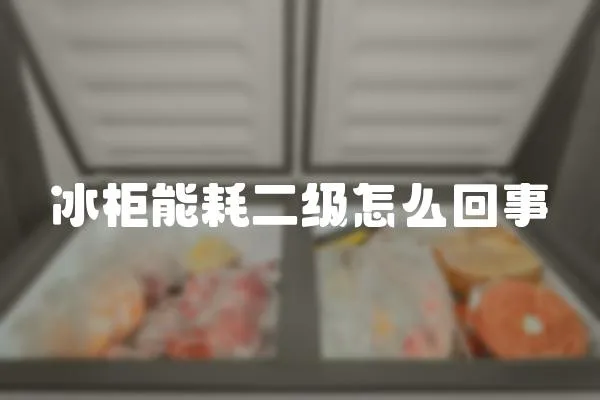 冰柜能耗二級怎么回事