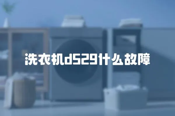 洗衣機d529什么故障