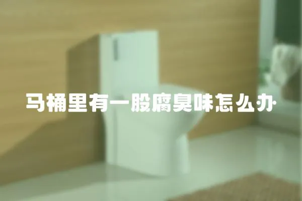 馬桶里有一股腐臭味怎么辦