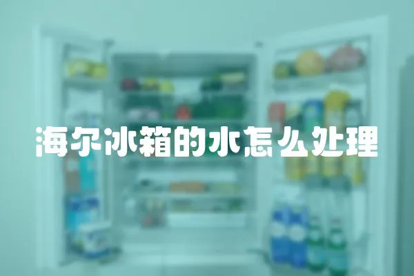 海爾冰箱的水怎么處理