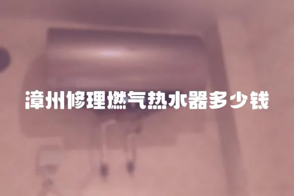 漳州修理燃氣熱水器多少錢