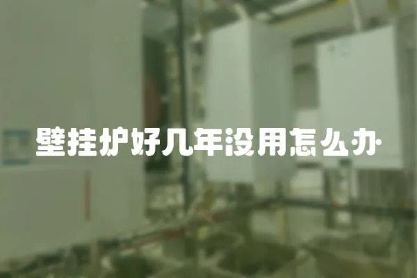 壁掛爐好幾年沒用怎么辦