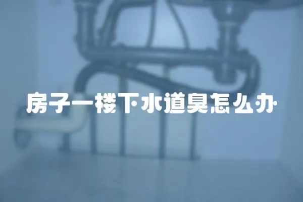 房子一樓下水道臭怎么辦