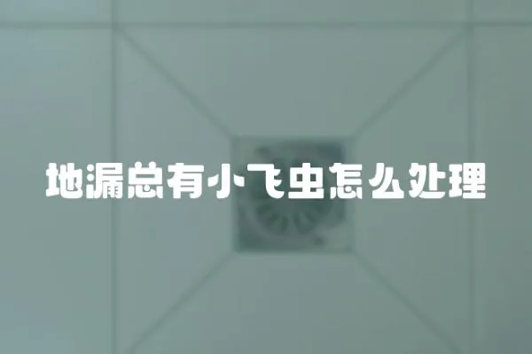 地漏總有小飛蟲怎么處理