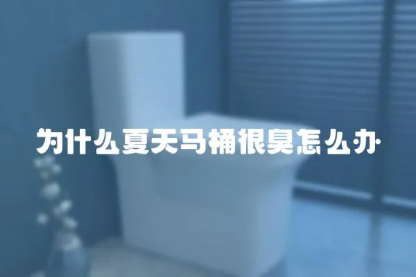 為什么夏天馬桶很臭怎么辦