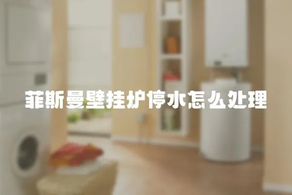 菲斯曼壁掛爐停水怎么處理