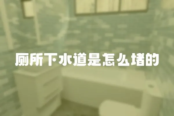 廁所下水道是怎么堵的