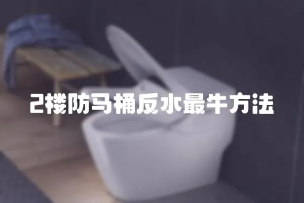 2樓防馬桶反水最牛方法