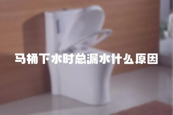 馬桶下水時總漏水什么原因