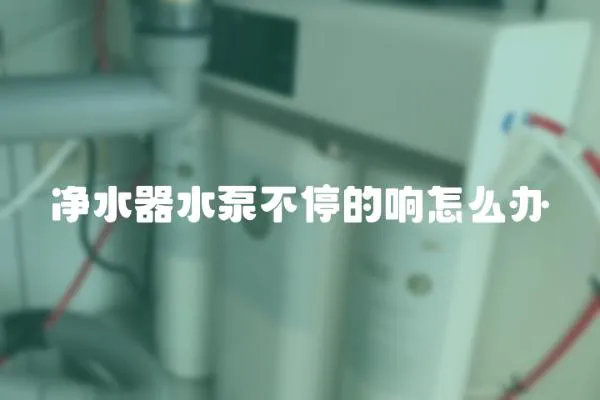 凈水器水泵不停的響怎么辦