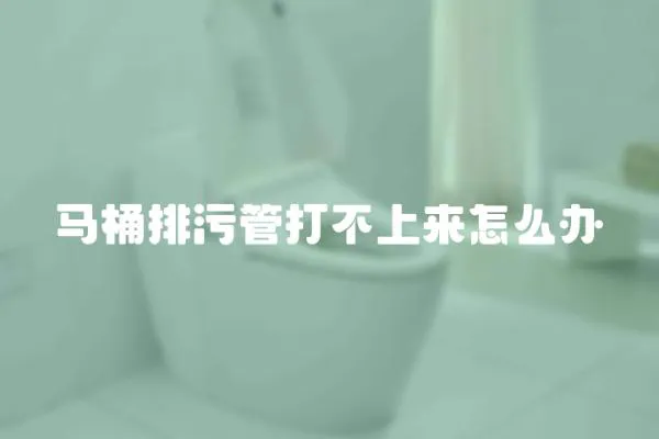 馬桶排污管打不上來怎么辦