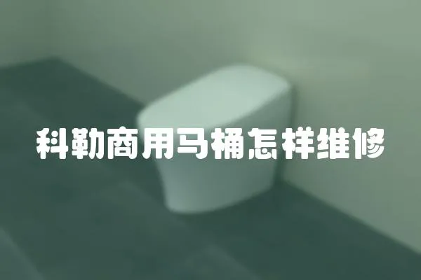 科勒商用馬桶怎樣維修