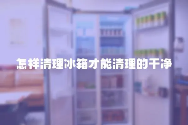 怎樣清理冰箱才能清理的干凈