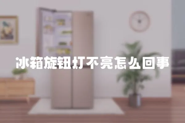 冰箱旋鈕燈不亮怎么回事