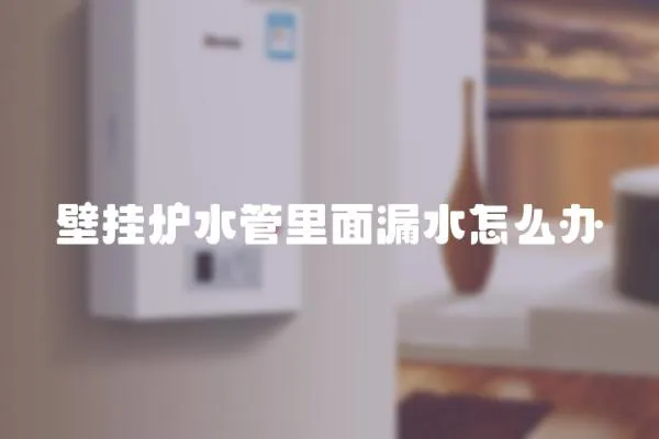 壁掛爐水管里面漏水怎么辦