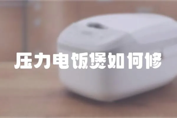 壓力電飯煲如何修
