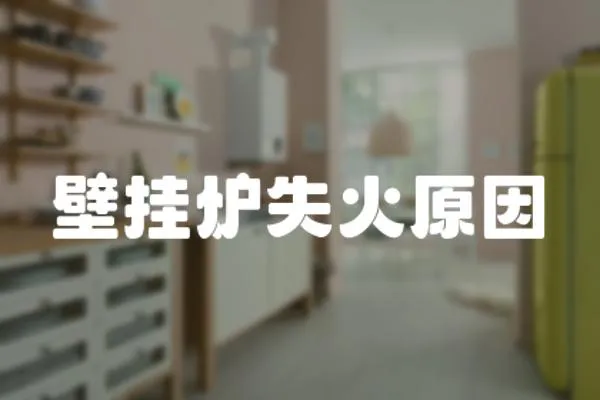 壁掛爐失火原因