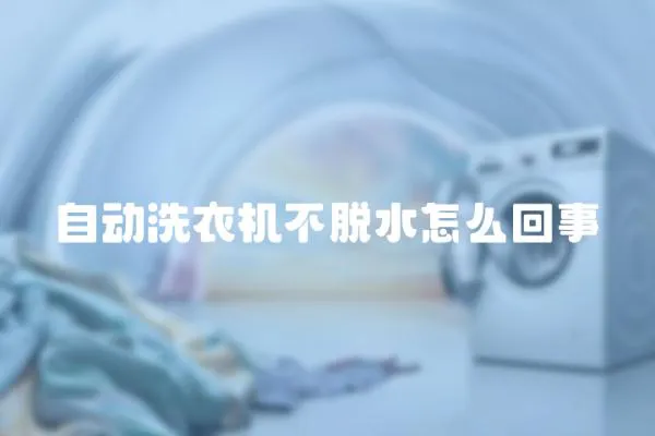 自動洗衣機不脫水怎么回事