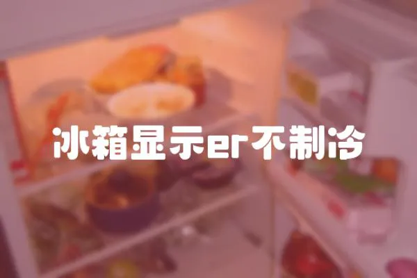 冰箱顯示er不制冷