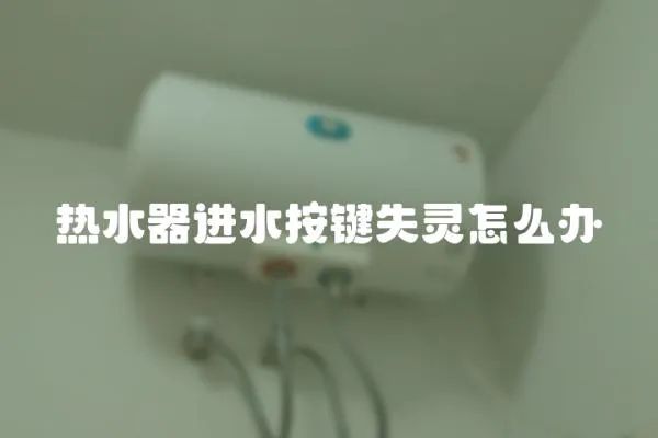 熱水器進水按鍵失靈怎么辦