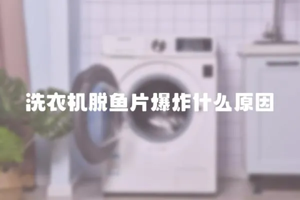 洗衣機脫魚片爆炸什么原因