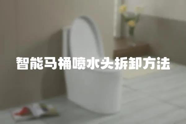 智能馬桶噴水頭拆卸方法