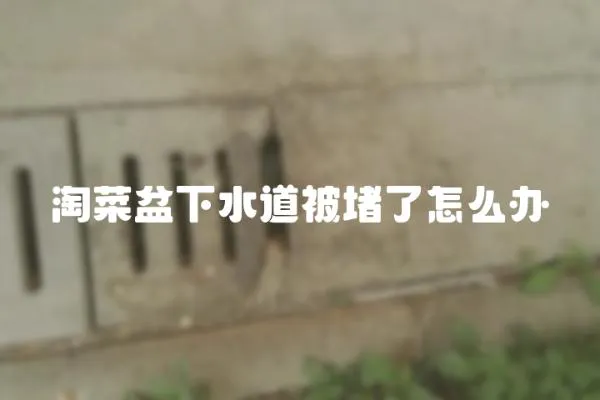 淘菜盆下水道被堵了怎么辦