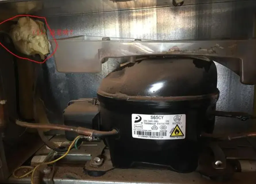 冰箱壓縮機怎么會壞