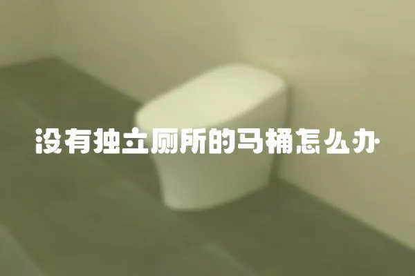 沒有獨立廁所的馬桶怎么辦