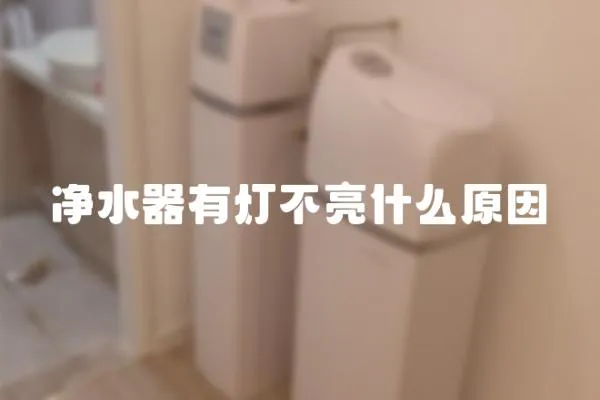 凈水器有燈不亮什么原因