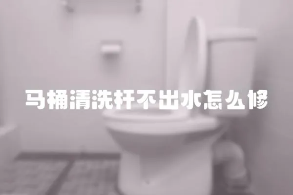 馬桶清洗桿不出水怎么修