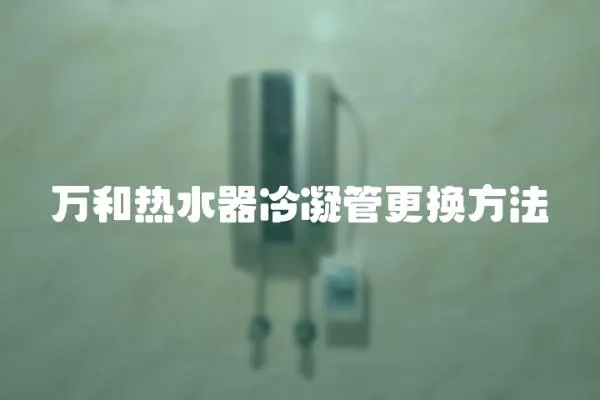 萬和熱水器冷凝管更換方法