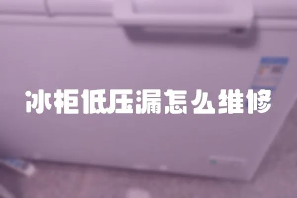 冰柜低压漏怎么维修