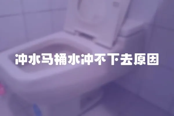 冲水马桶水冲不下去原因