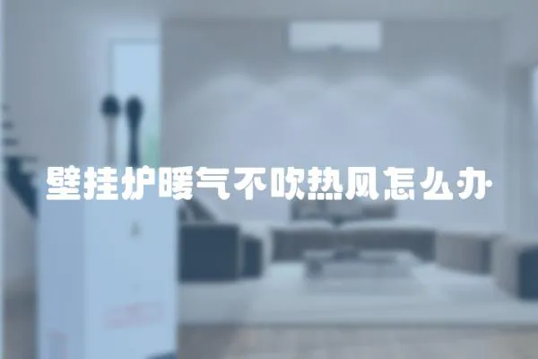 壁掛爐暖氣不吹熱風怎么辦