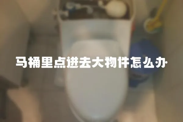 馬桶里點進去大物件怎么辦
