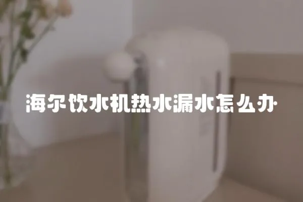 海爾飲水機(jī)熱水漏水怎么辦