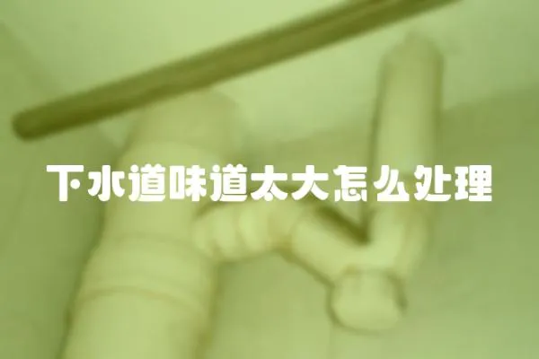 下水道味道太大怎么處理